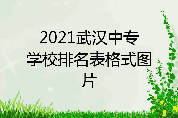 2021武汉中专学校排名表格式图片