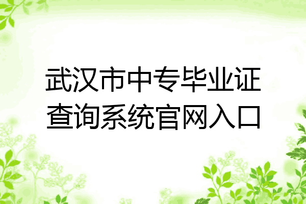 武汉市中专毕业证查询系统官网入口