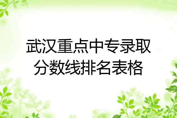 武汉重点中专录取分数线排名表格