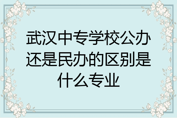 武汉中专学校公办还是民办的区别是什么专业