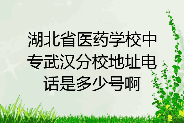 湖北省医药学校中专武汉分校地址电话是多少号啊
