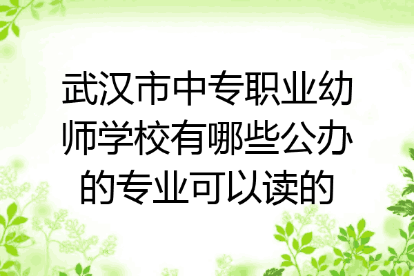 武汉市中专职业幼师学校有哪些公办的专业可以读的