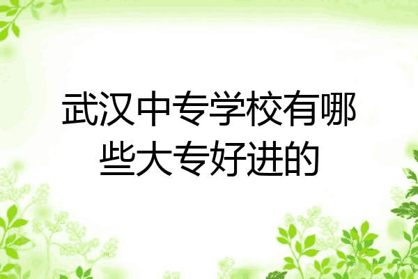 武汉中专学校有哪些大专好进的