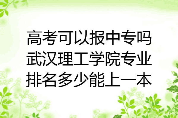 高考可以报中专吗武汉理工学院专业排名多少能上一本