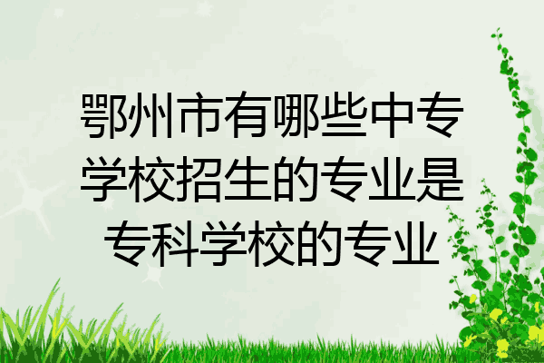 鄂州市有哪些中专学校招生的专业是专科学校的专业