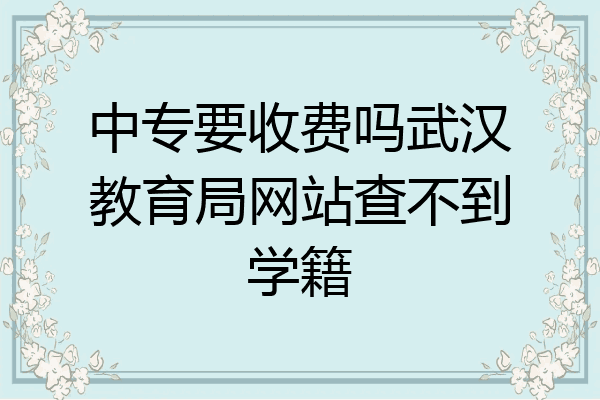 中专要收费吗武汉教育局网站查不到学籍