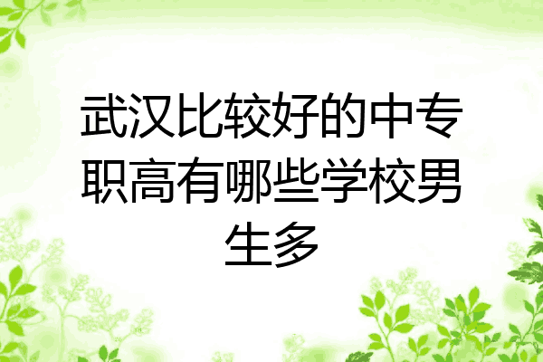 武汉比较好的中专职高有哪些学校男生多