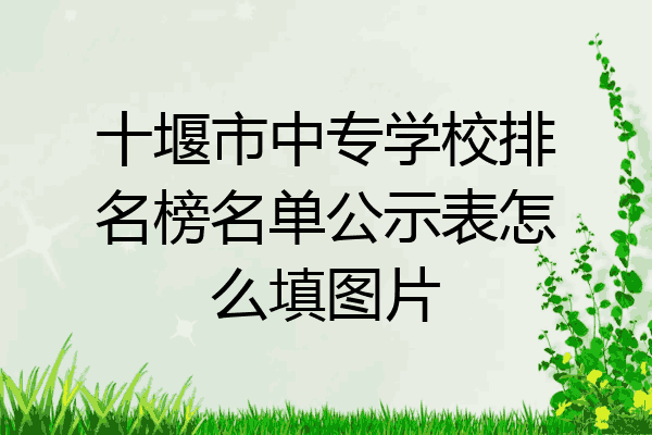 十堰市中专学校排名榜名单公示表怎么填图片