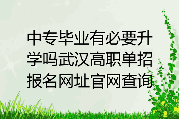 中专毕业有必要升学吗武汉高职单招报名网址官网查询