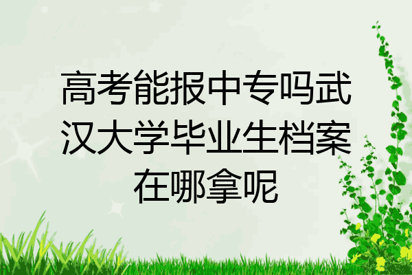高考能报中专吗武汉大学毕业生档案在哪拿呢