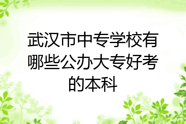 武汉市中专学校有哪些公办大专好考的本科