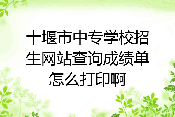 十堰市中专学校招生网站查询成绩单怎么打印啊