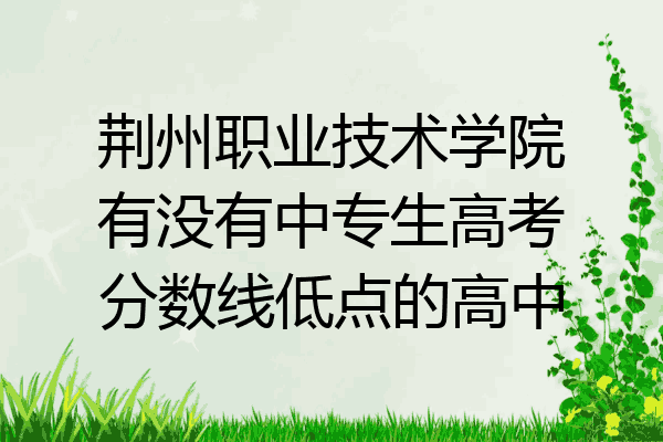 荆州职业技术学院有没有中专生高考分数线低点的高中