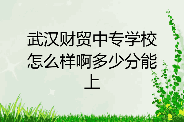 武汉财贸中专学校怎么样啊多少分能上