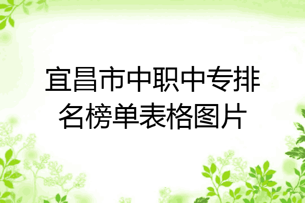 宜昌市中职中专排名榜单表格图片