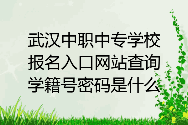 武汉中职中专学校报名入口网站查询学籍号密码是什么