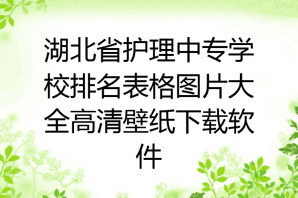 湖北省护理中专学校排名表格图片大全高清壁纸下载软件