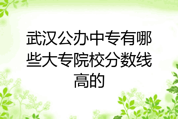 武汉公办中专有哪些大专院校分数线高的