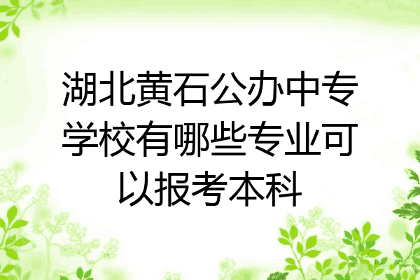 湖北黄石公办中专学校有哪些专业可以报考本科