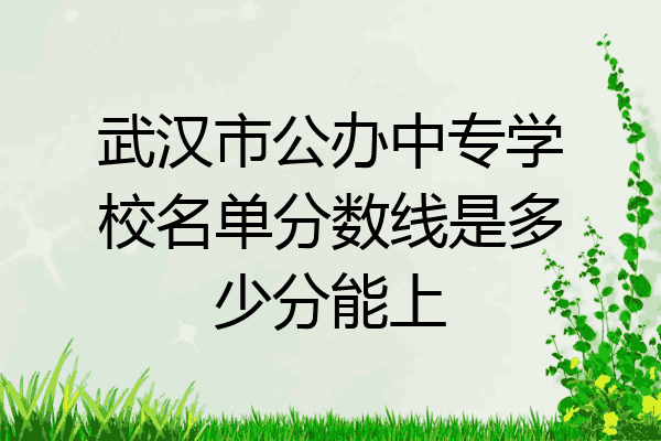 武汉市公办中专学校名单分数线是多少分能上