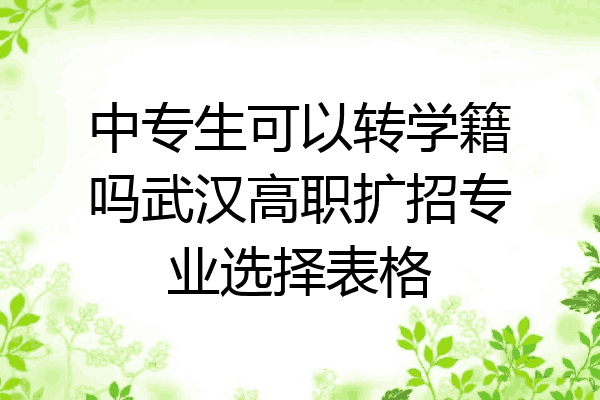 中专生可以转学籍吗武汉高职扩招专业选择表格