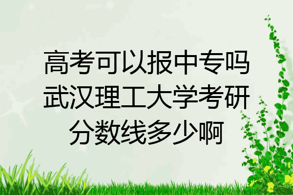 高考可以报中专吗武汉理工大学考研分数线多少啊