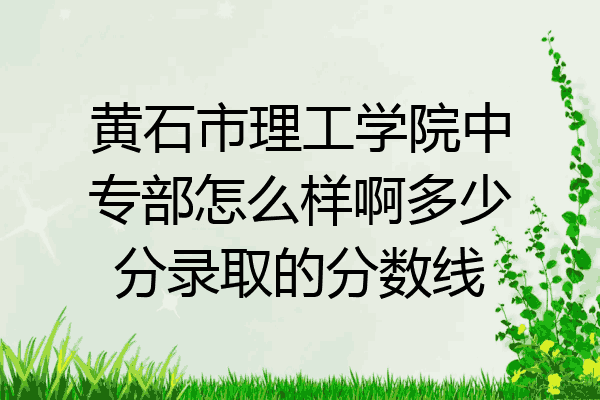 黄石市理工学院中专部怎么样啊多少分录取的分数线