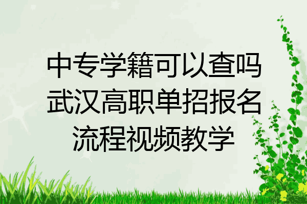 中专学籍可以查吗武汉高职单招报名流程视频教学
