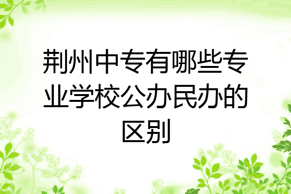 荆州中专有哪些专业学校公办民办的区别