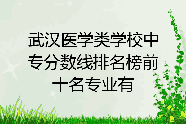 武汉医学类学校中专分数线排名榜前十名专业有
