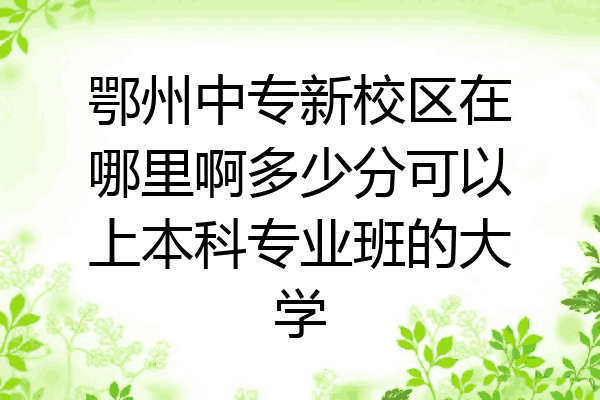 鄂州中专新校区在哪里啊多少分可以上本科专业班的大学