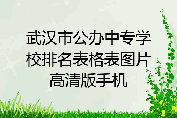 武汉市公办中专学校排名表格表图片高清版手机
