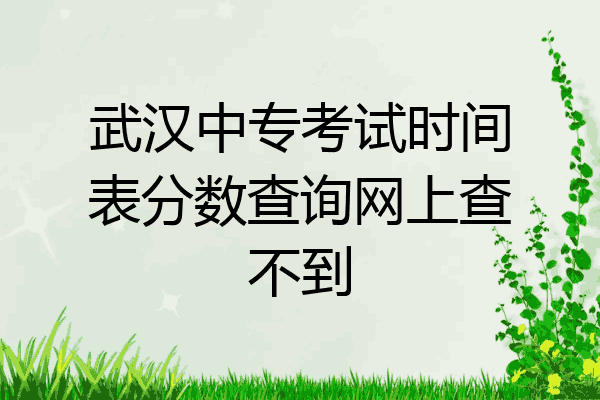 武汉中专考试时间表分数查询网上查不到