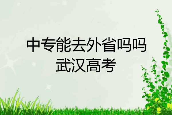 中专能去外省吗吗武汉高考