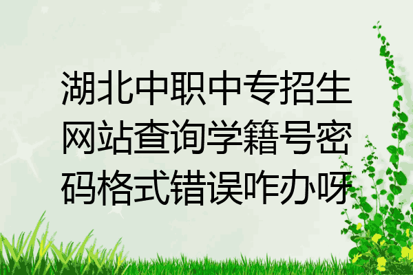 湖北中职中专招生网站查询学籍号密码格式错误咋办呀