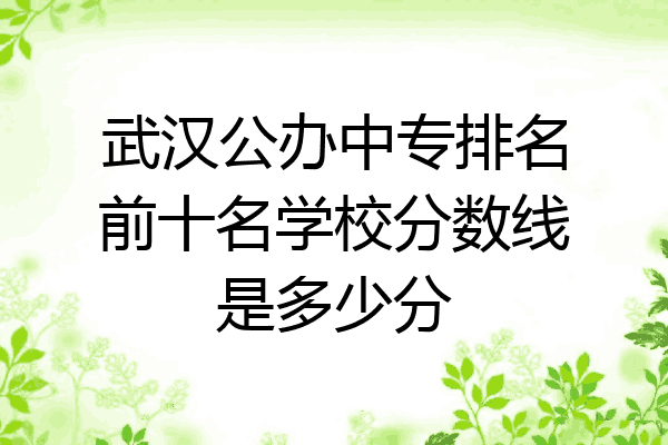 武汉公办中专排名前十名学校分数线是多少分