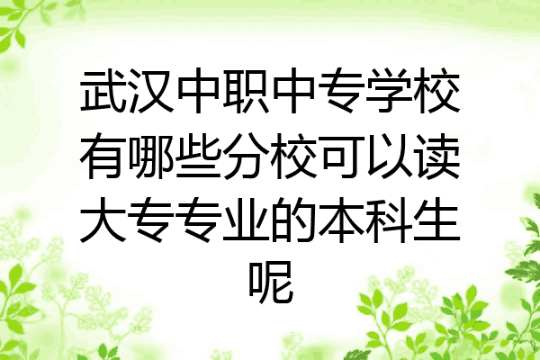 武汉中职中专学校有哪些分校可以读大专专业的本科生呢