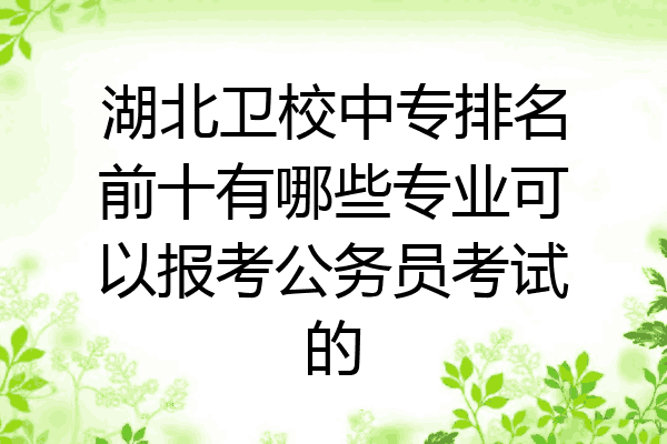 湖北卫校中专排名前十有哪些专业可以报考公务员考试的