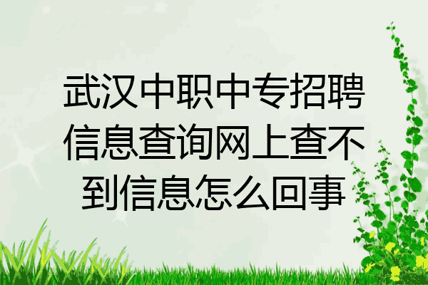 武汉中职中专招聘信息查询网上查不到信息怎么回事