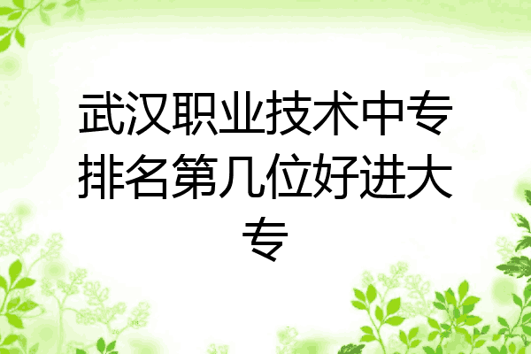 武汉职业技术中专排名第几位好进大专