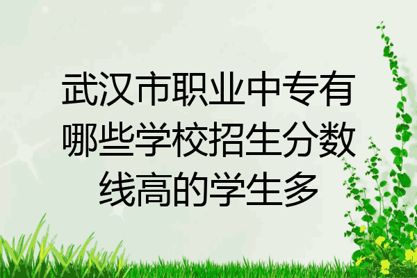 武汉市职业中专有哪些学校招生分数线高的学生多