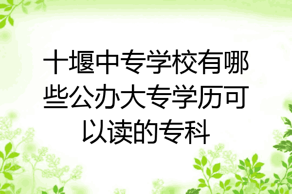 十堰中专学校有哪些公办大专学历可以读的专科