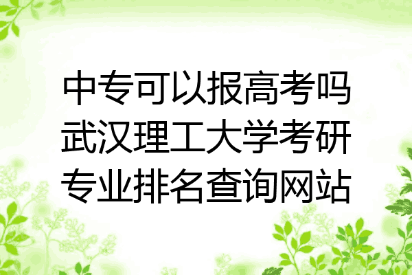 中专可以报高考吗武汉理工大学考研专业排名查询网站
