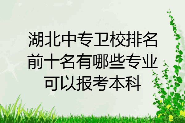 湖北中专卫校排名前十名有哪些专业可以报考本科