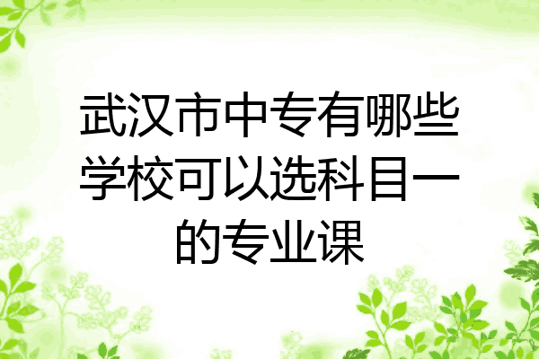 武汉市中专有哪些学校可以选科目一的专业课