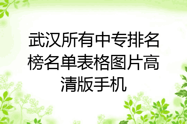武汉所有中专排名榜名单表格图片高清版手机