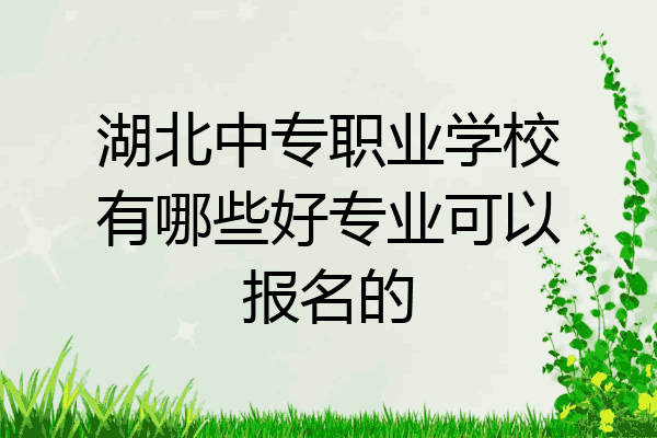 湖北中专职业学校有哪些好专业可以报名的