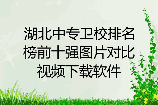 湖北中专卫校排名榜前十强图片对比视频下载软件