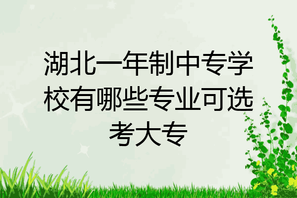 湖北一年制中专学校有哪些专业可选考大专
