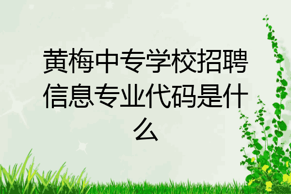 黄梅中专学校招聘信息专业代码是什么